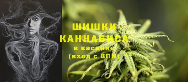 spice Богданович