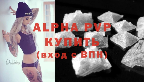 spice Богданович