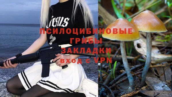 spice Богданович