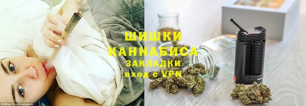 spice Богданович