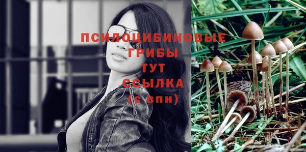 альфа пвп Богородицк