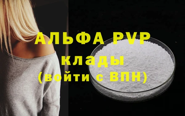 spice Богданович