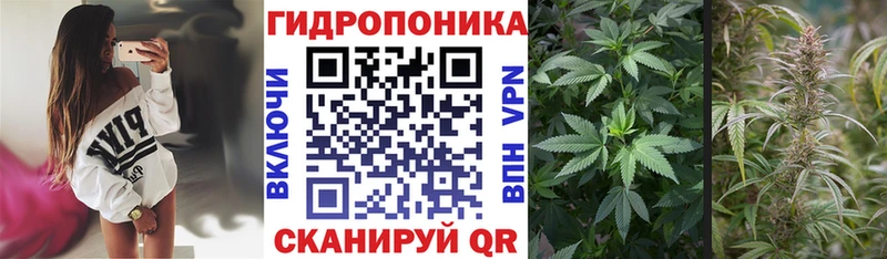 Бошки Шишки марихуана  Междуреченск 